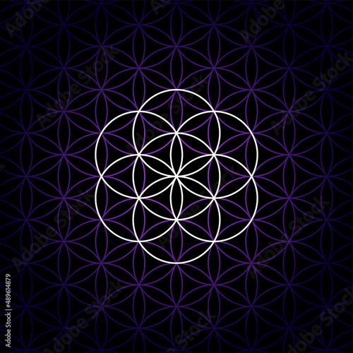 White seed of Life on a dark purple Flower of Life pattern, over black background. Hexagonal arranged circles generate a flower petal pattern. Geometric figure and spiritual symbol of Sacred Geometry.