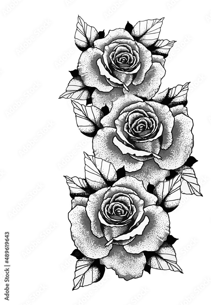 Rose Flower Drawing Aesthetic, Rose Beauty Vector Line art, Floral Line ...