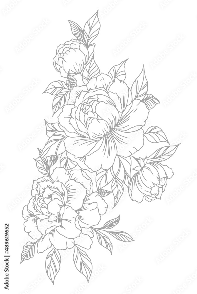 Rose Flower Drawing Aesthetic, Rose Beauty Vector Line art, Floral Line Art Hand Drawn Collection, Sketch Outline with Pastel Watercolor. Rose Flower Drawing Aesthetic, Rose Beauty Vector Line art, Floral Line Art Hand Drawn Collection, Sketch Outline with Pastel Watercolor.