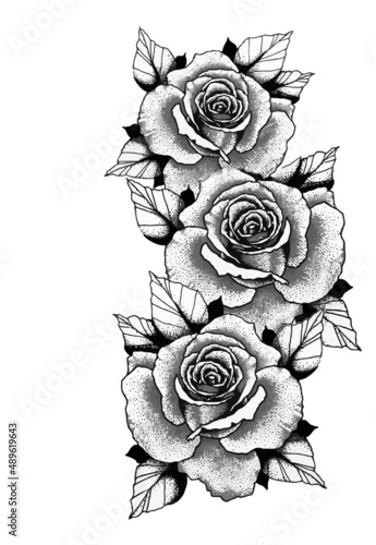 Rose Flower Drawing Aesthetic, Rose Beauty Vector Line art, Floral Line Art Hand Drawn Collection, Sketch Outline with Pastel Watercolor.