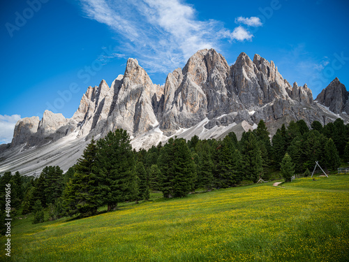High Meadow in the Dolomites of Italy © Chris Scalise