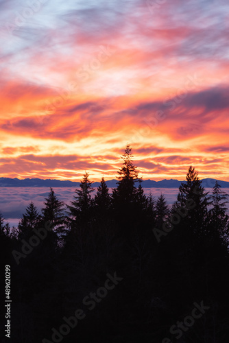 Canadian Nature View of Evergreen Trees on a mountain above the clouds. Dramatic Winter Sunset. Taken at Cypress Lookout, Vancouver, British Columbia, Canada. Background