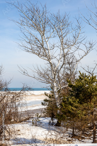 Winter Beach View © Dave