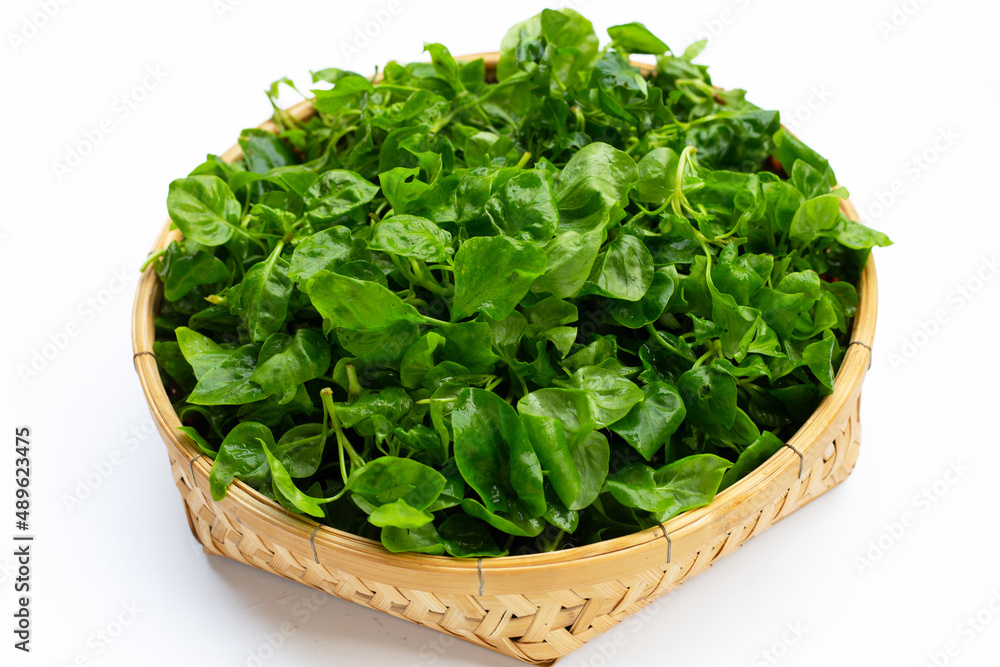 Watercress in bamboo basket on white background. Watercress in bamboo basket on white background.