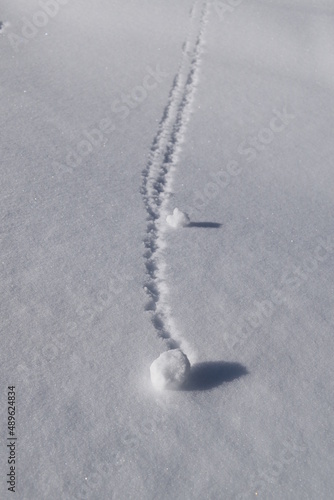 Trails in snow created by tiny snow balls