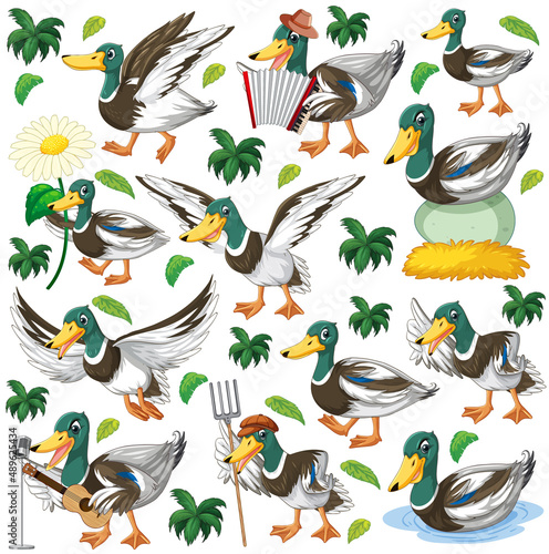 Funny mallard on white background element