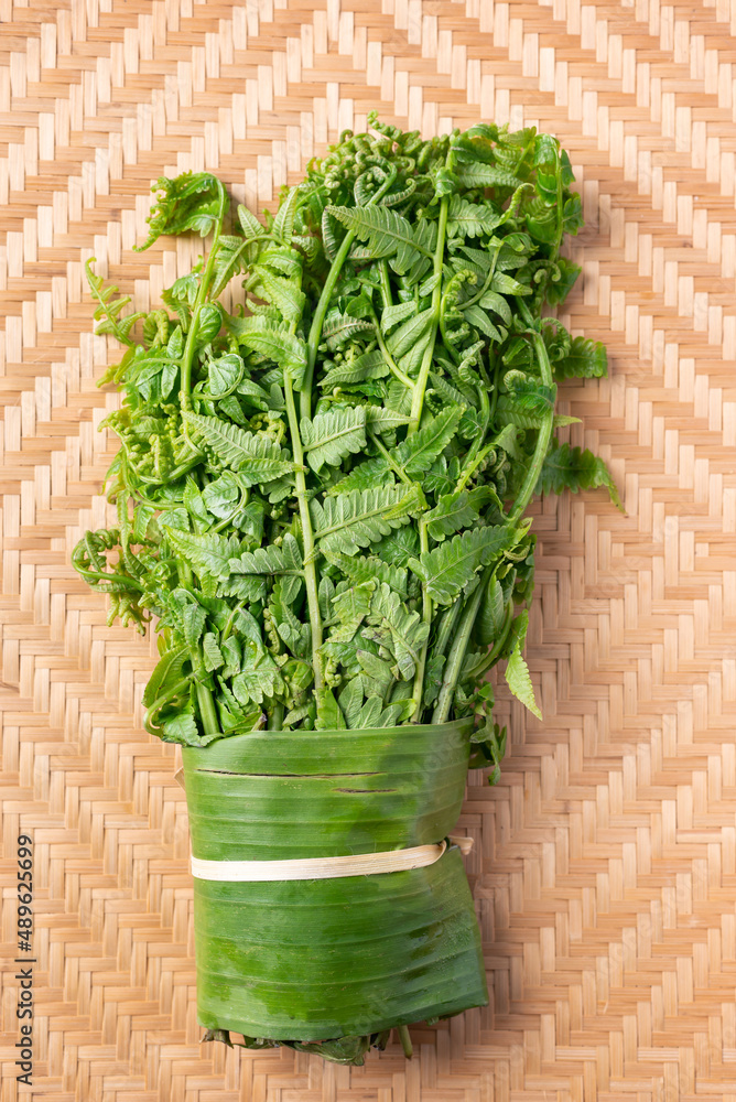 Asian Edible fern or fiddlehead fern from local farmer market, Healthy