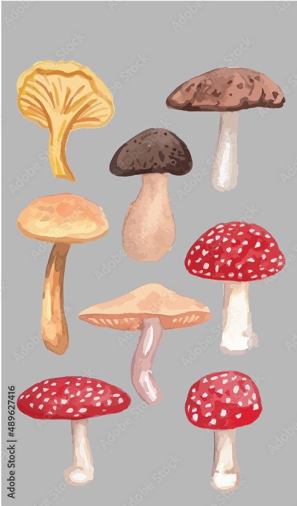 Assorted Mushroom Drawing Aesthetic, Mold Spore Vector Outline, Fungus