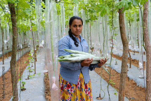 Farmer with his plantation and vegetation in agriculture