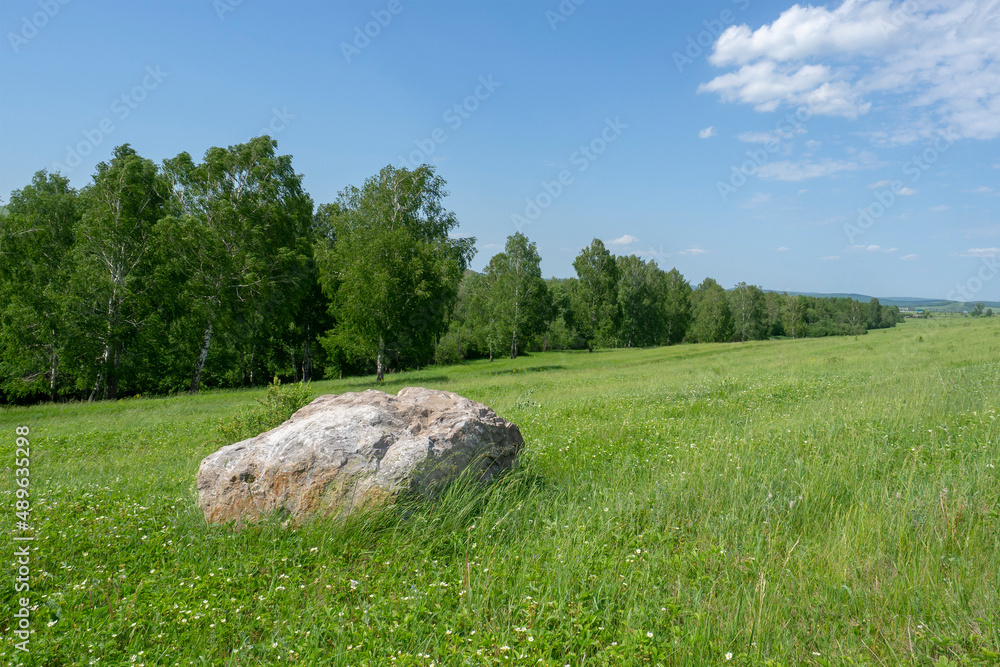 Large stone lying in the grass in the meadow. Limestone. Summer landscape. Large stone lying in the grass in the meadow. Limestone. Summer landscape.