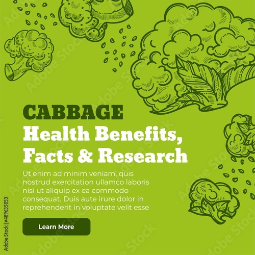 Cabbage health benefits, facts and researches