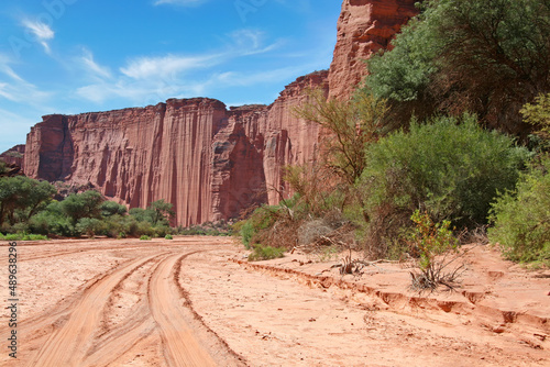 Dry riverbed and steep sandstone cliffs in the Talampaya National Park, La Rioja, Argentina. photo