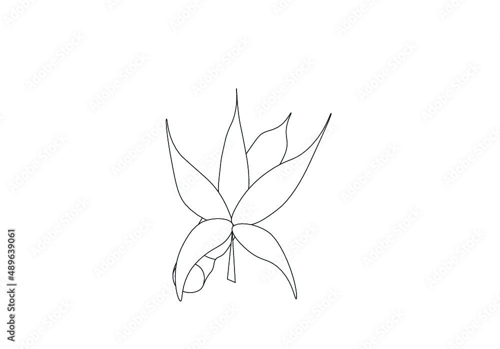 black and white marijuana plant and blunt Stock Vector | Adobe Stock