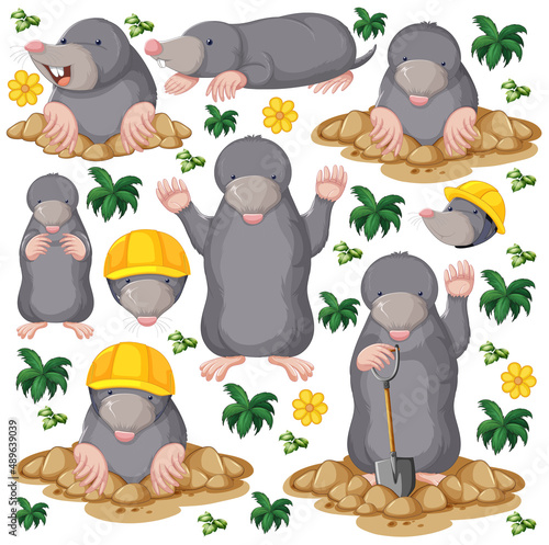 Funny guinea pig and mole on white background