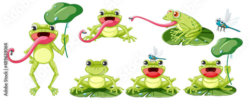 Set of different frogs in cartoon style