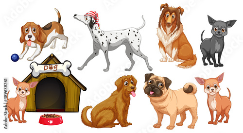 Different dog breeds in cartoon style