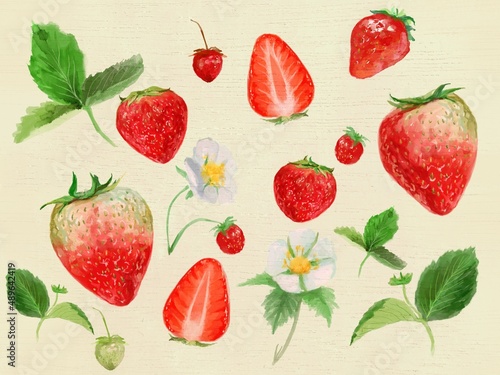 Fototapeta Naklejka Na Ścianę i Meble -  フレッシュな苺と白い花と植物の水彩画イラストと木目調背景