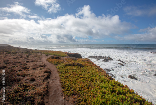 Winding Bluff Trail at Fiscalini Ranch Preserve on the Rugged Central California coastline at Cambria California United States photo