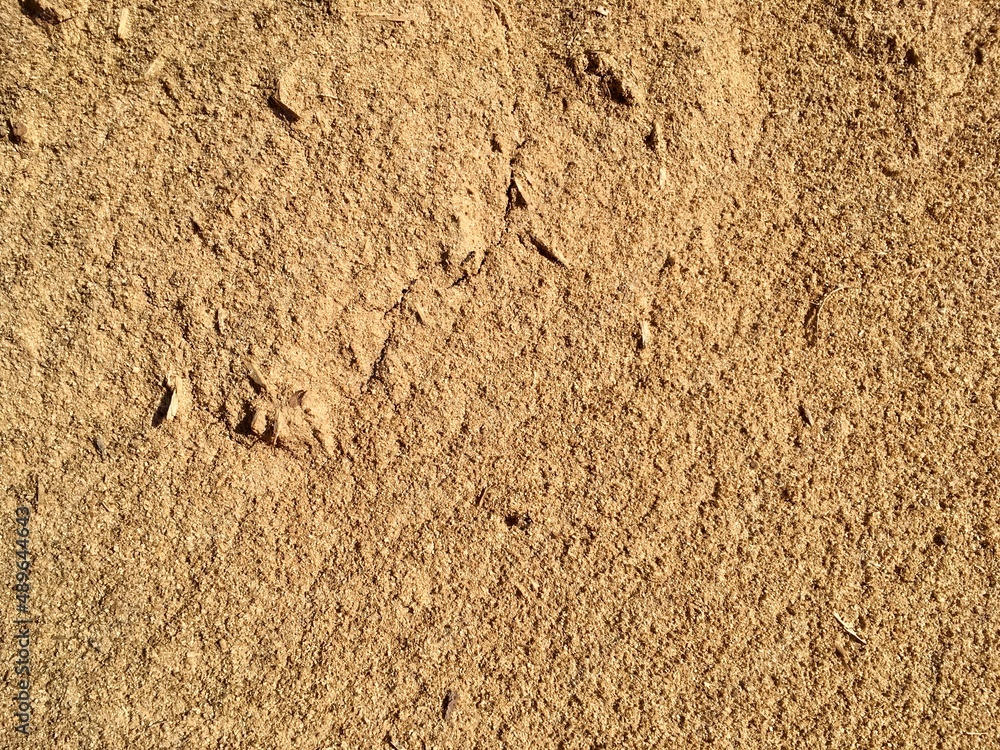 texture of the sand