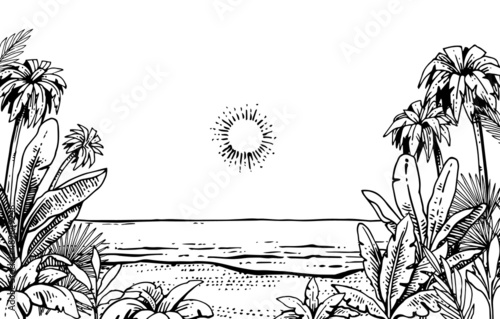 Tropical grass and plant thickets on the beach near the sea. Frame with palms on the sides. Hand drawing outline. Summer landscape. Sketch of exotic plants. Isolated on white background. Vector