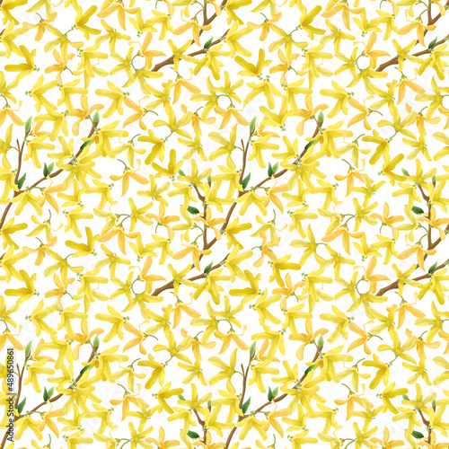 Seamless repeating pattern of forsythia (golden bell) flowers on white background, vector illustration. 