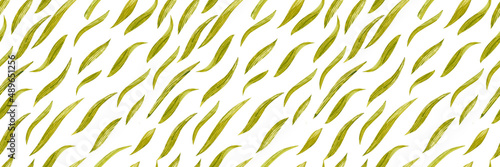 Watercolour panoramic seamless pattern with green cattail leaves. Cute minimal summer endless background on botany theme.