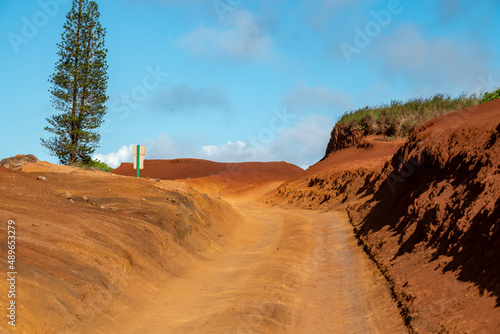 A red dirt road leads up a hill between dry red clay cliffs on Lanai  in the Garden of the Gods  a single Cooks pine standing on the top of the hill. 