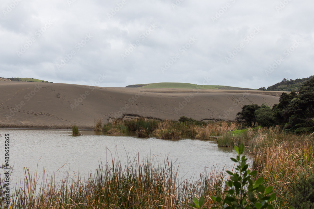 Sand dunes around lake Wainamu, New Zealand.