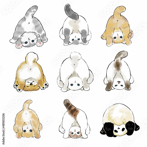 Cute Cat Various Behaviors Animal Drawing Collection, Cat Outline HandDrawn, Assorted Cat Vector Flat icons Watercolor, Cat illustrations icon Set.