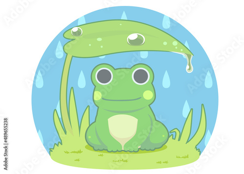雨宿りするカエルのイラスト