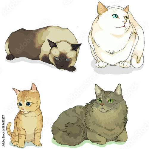 Animal Drawing Collection, Cat Outline, Assorted Cat Vector Flat icons, Cat illustrations icon Set