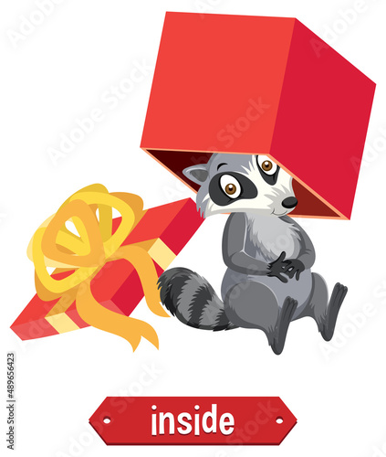 Preposition wordcard with raccoon inside box