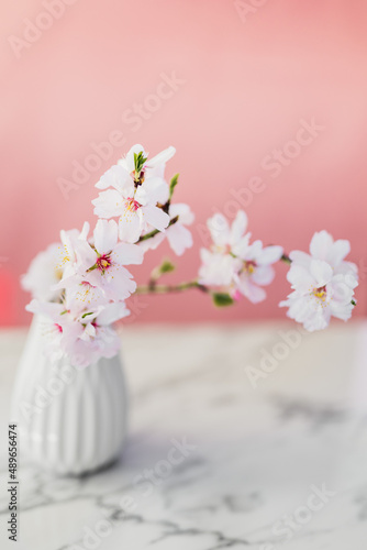 Almond blossom in a vase