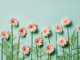 Pink marigold flowers and fresh leaves in a row on pastel green background. Creative floral spring bloom concept. Still life natural visual trend idea. Flat lay.