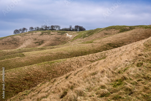 The white horse of Cherhill on the Marlborough Downs North Wessex Wiltshire south west England photo