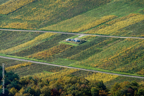 vue aérienne de vignes de champagne en automne à Courmas dans la Marne en France