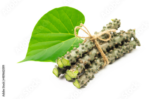 Tinospora cordifolia herb with green leaf isolated on white background. Tinospora cordifolia has a bitter taster and used as a medicinal ingredient in traditional medicine. photo
