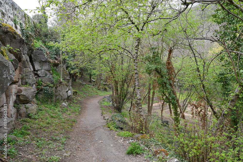 chemin de randonnée de Neschers serpentant au milieu d'un belle foret au bord de la rivière couze 