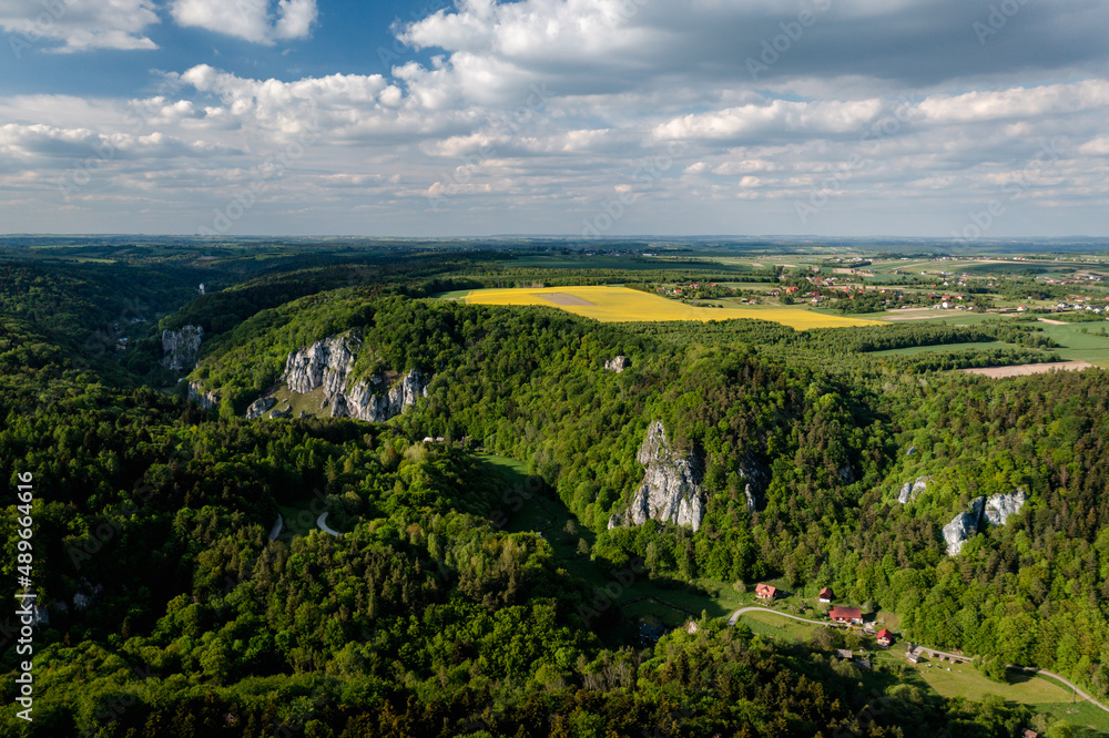 Ojcowski National Park, spring drone aerial view of Ojcow village and rocks in Pradnik Valley near Krakow (Cracow) taken in May. Okopy Mountain, Koronna, Mountain Wapiennik, Puchacz Rock. Smardzowice.