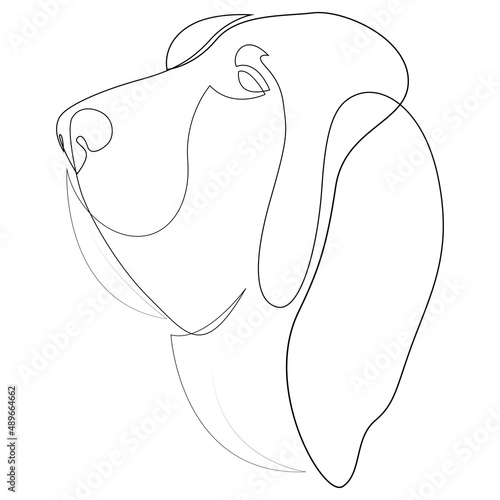 Continuous line Bloodhound. Single line minimal style dog vector illustration. Portrait