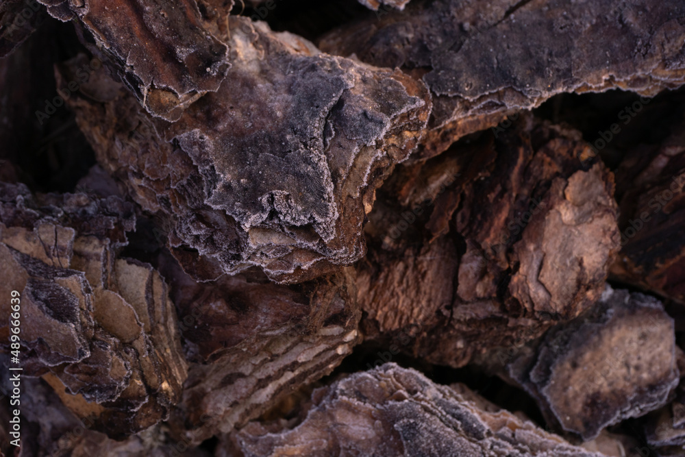 Textured pieces of bark covered with frost background Textured pieces of bark covered with frost background