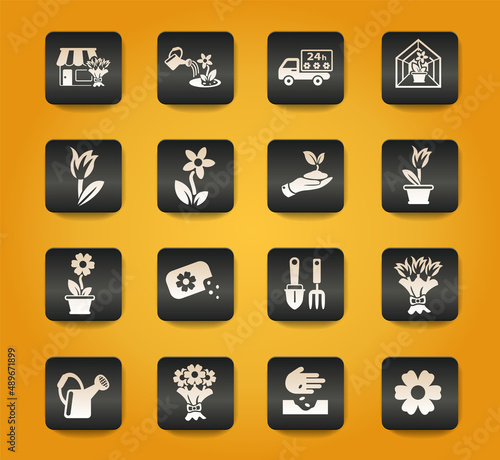 flowers icon set