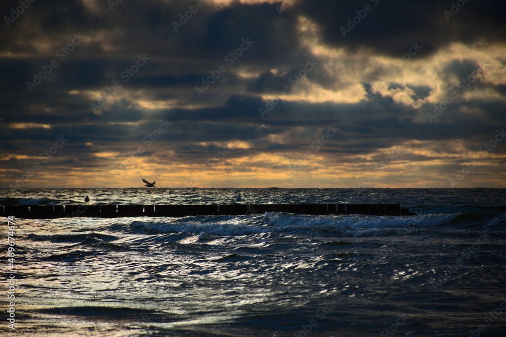 Obraz premium sunset by the sea