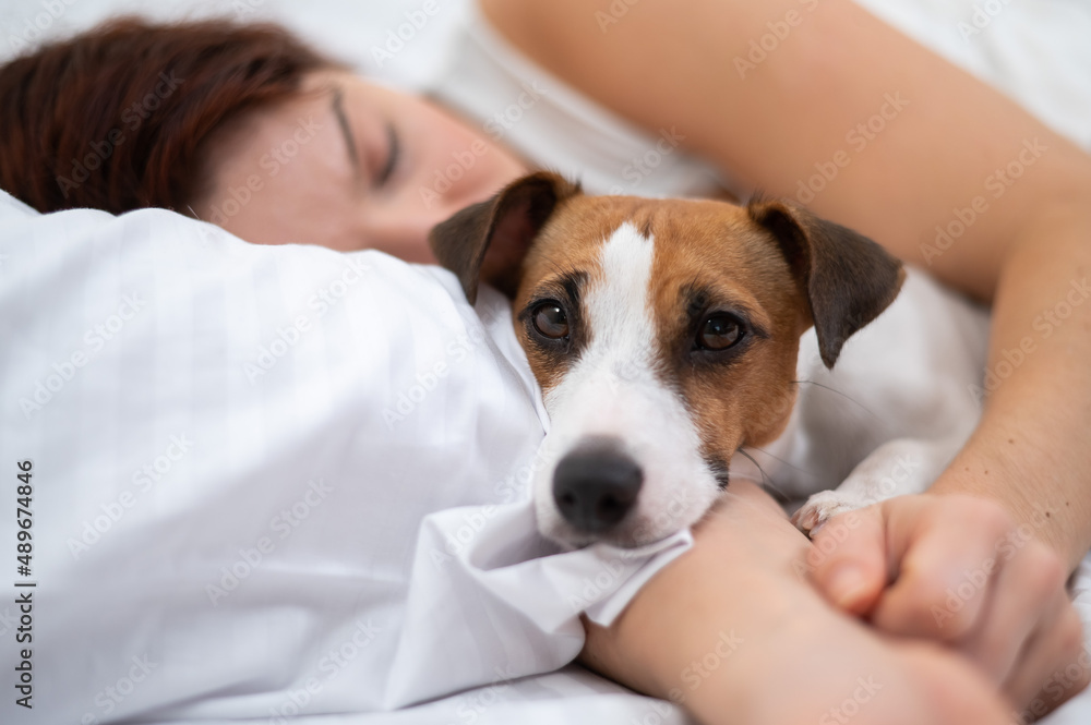 Caucasian woman is napping in bed hugging her beloved dog. Caucasian woman is napping in bed hugging her beloved dog.