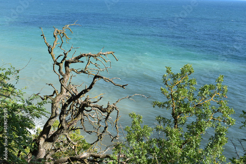 beach, sea, ocean, sand, water, coast, wave, waves, sky, nature, landscape, shore, summer, tropical, sun, surf, travel, clouds, vacation, tide, australia, island, horizon, seascape