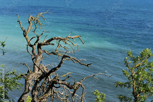 beach, sea, ocean, sand, water, coast, wave, waves, sky, nature, landscape, shore, summer, tropical, sun, surf, travel, clouds, vacation, tide, australia, island, horizon, seascape