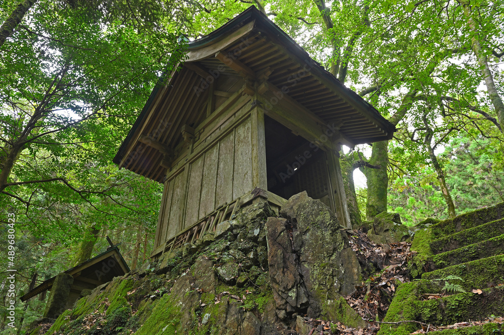 苔むした皇大神宮「祠と石段」 苔むした皇大神宮「祠と石段」