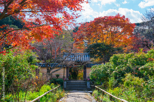 京都 浄瑠璃寺（じょうるりじ）の紅葉
