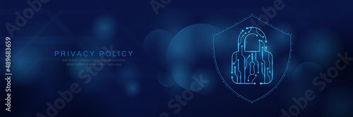 Data protection cyber security privacy. Technology security. Shield and Padlocks icon. Vector illustration