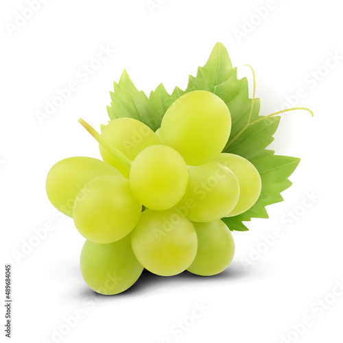Grapes Vector illustration. Grapes leaf